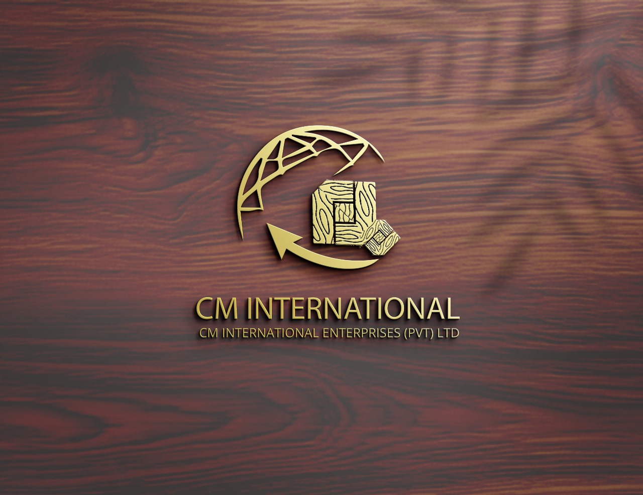 CM INTERNATIONAL ENTERPRISES (PVT) LTD Logo